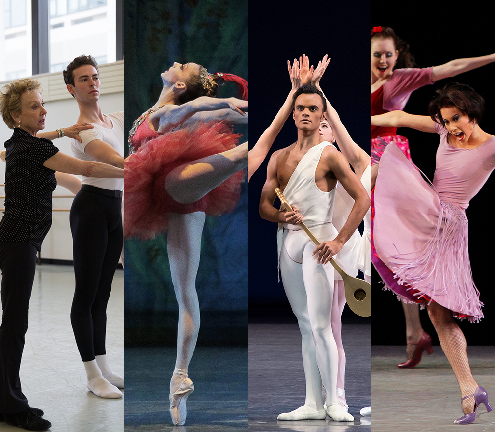 Ballet Connoisseurship On Demand