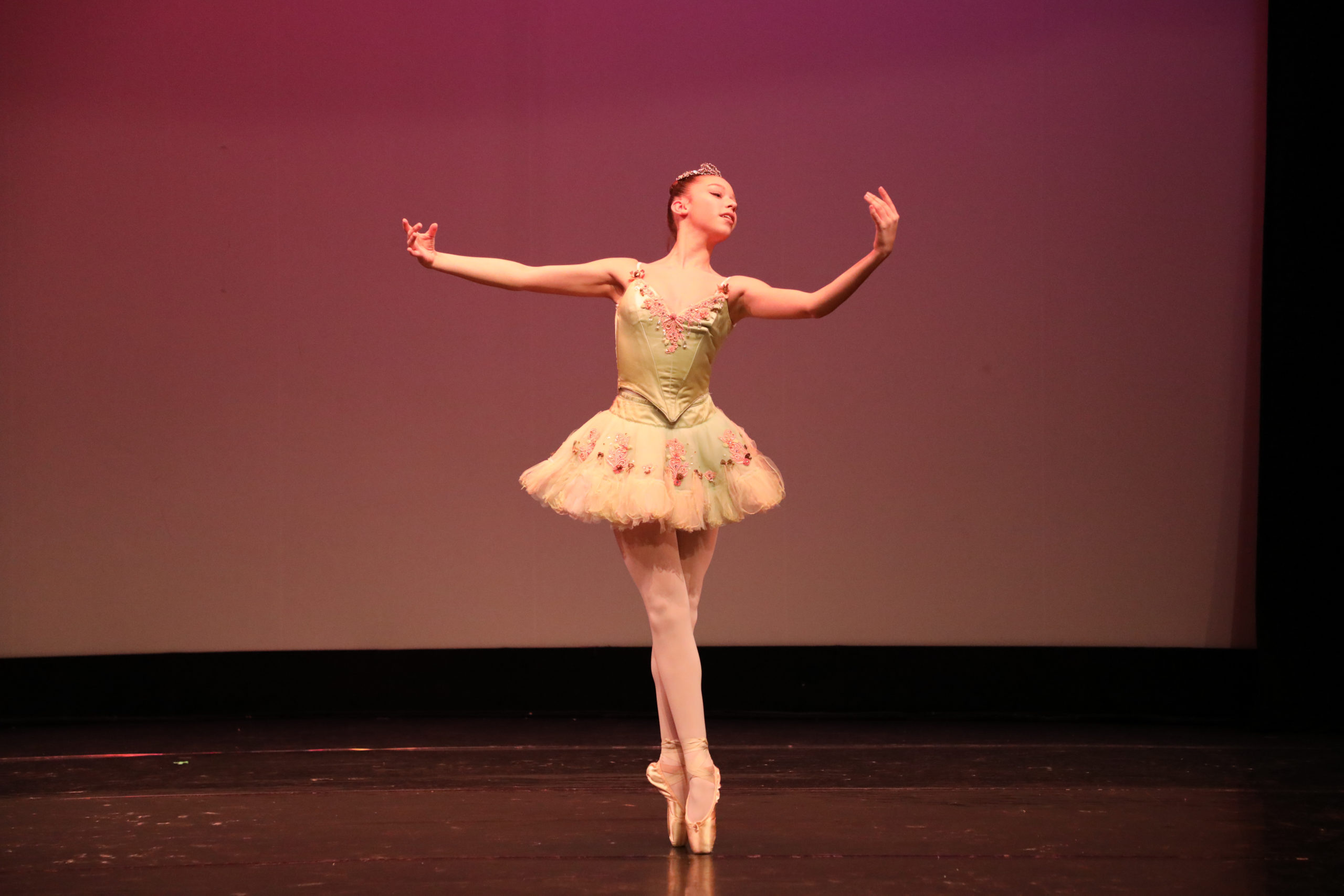 2022 Lecture Demonstratios - The Beauty of Ballet